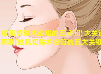 咬肌切除术必知的五 🐦 大关键事项(咬肌切除术必知的五大关键事项有哪些)